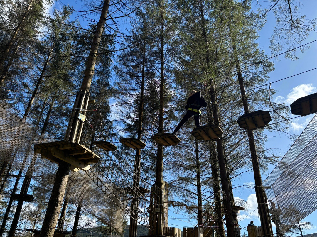 Go Ape Whinlatter-Braithwaite必去景点