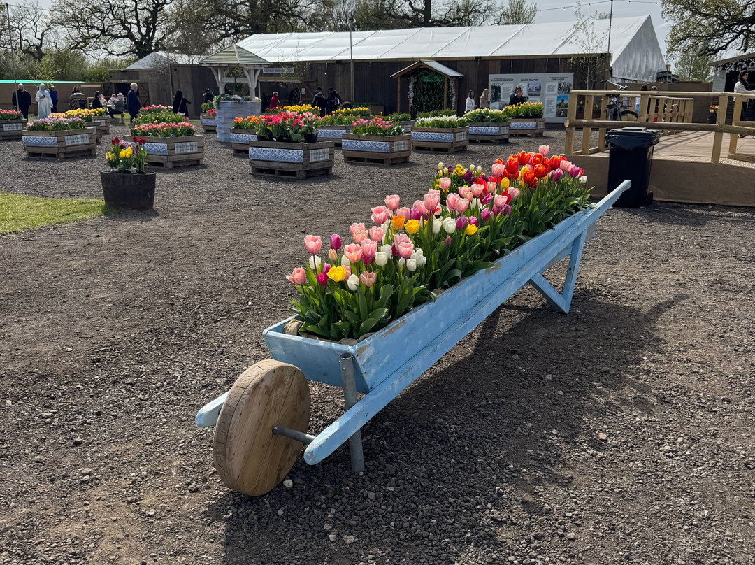 Tulleys Tulip Garden - Warwickshire-沃里克必去景点