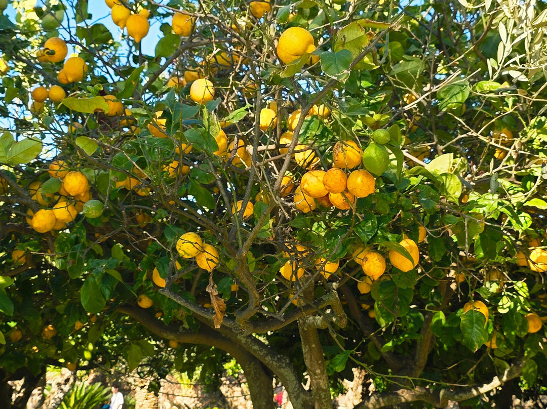 康姆比奥卡瓦洛联合国教科文组织区度假村主图