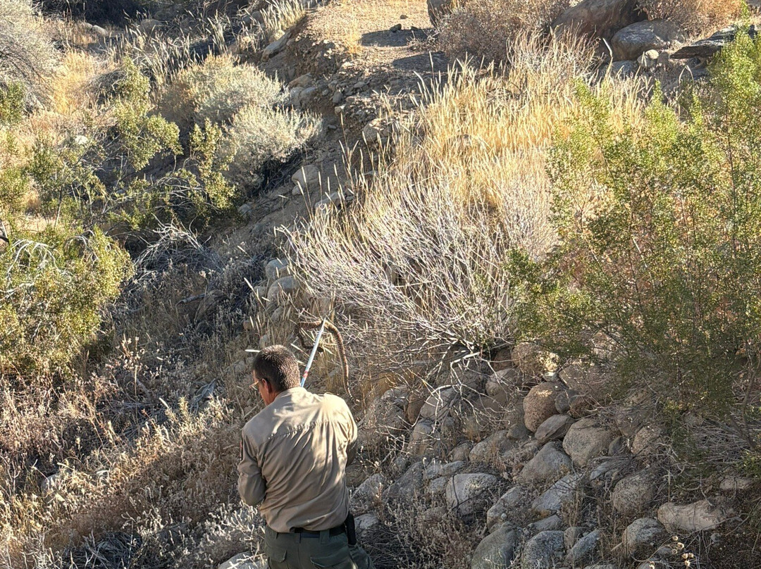 Tahquitz Canyon-棕榈泉市必去景点