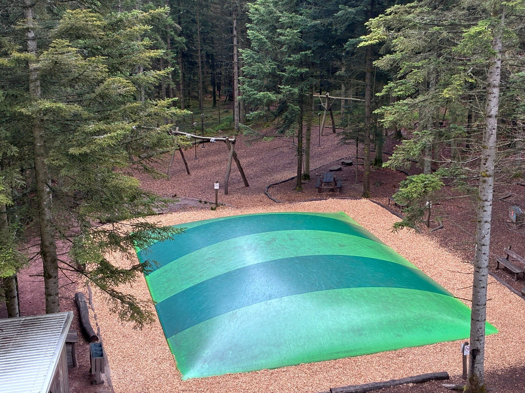 Baumwipfelpfad Schwarzwald-Bad Wildbad必去景点