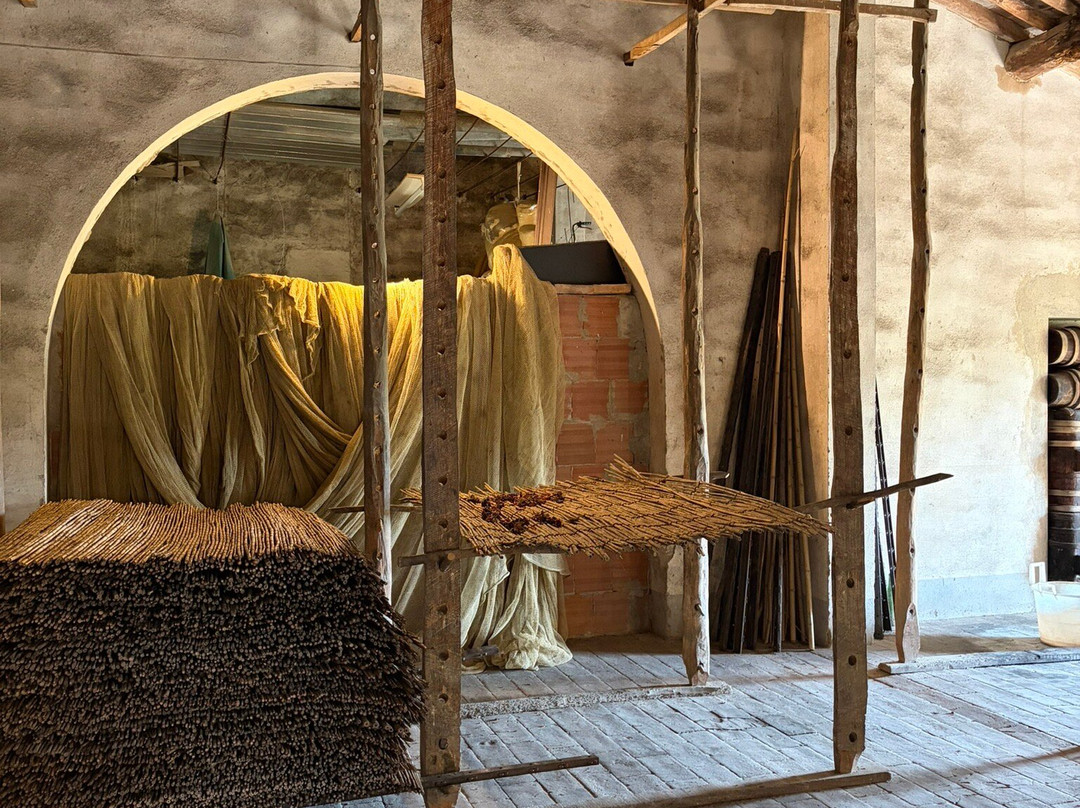 Castello Sonnino-蒙特斯佩托利必去景点