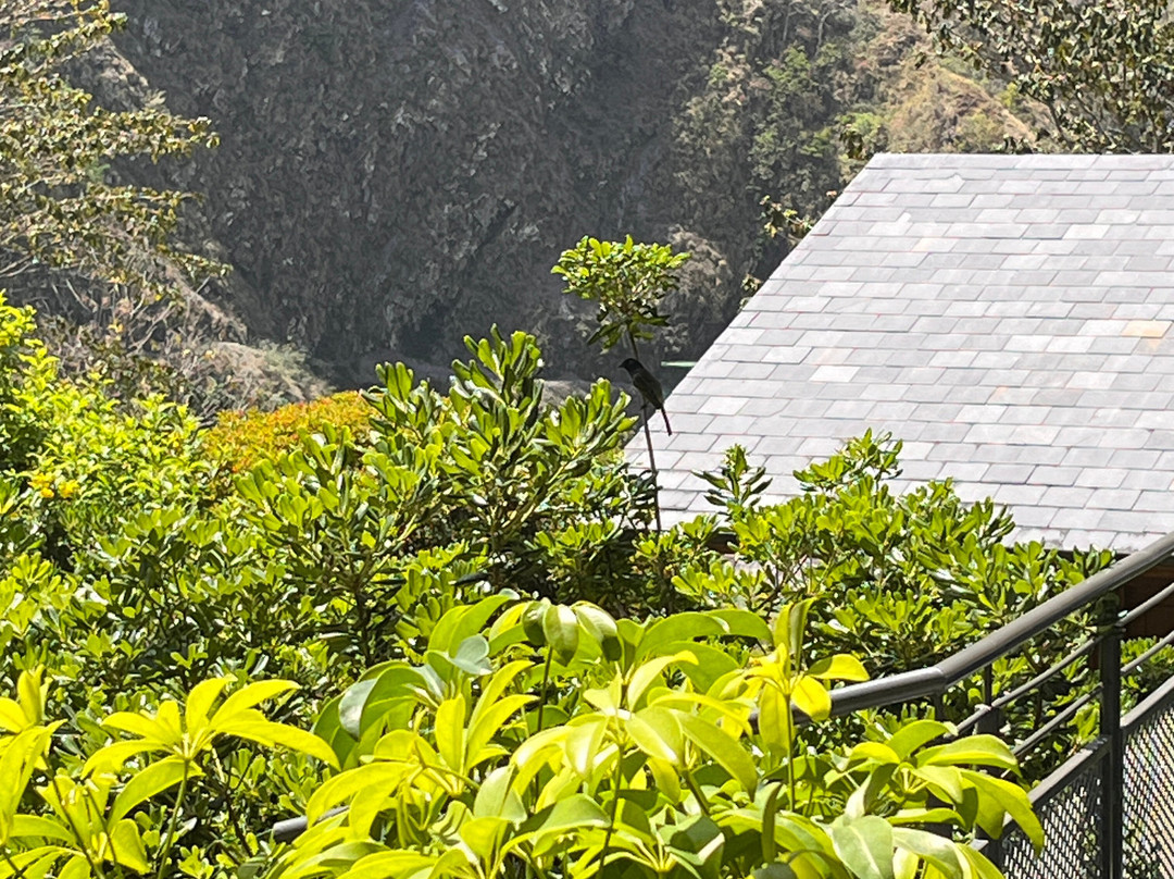 北阿坎德邦泰姬瑞诗凯诗度假村及水疗中心主图