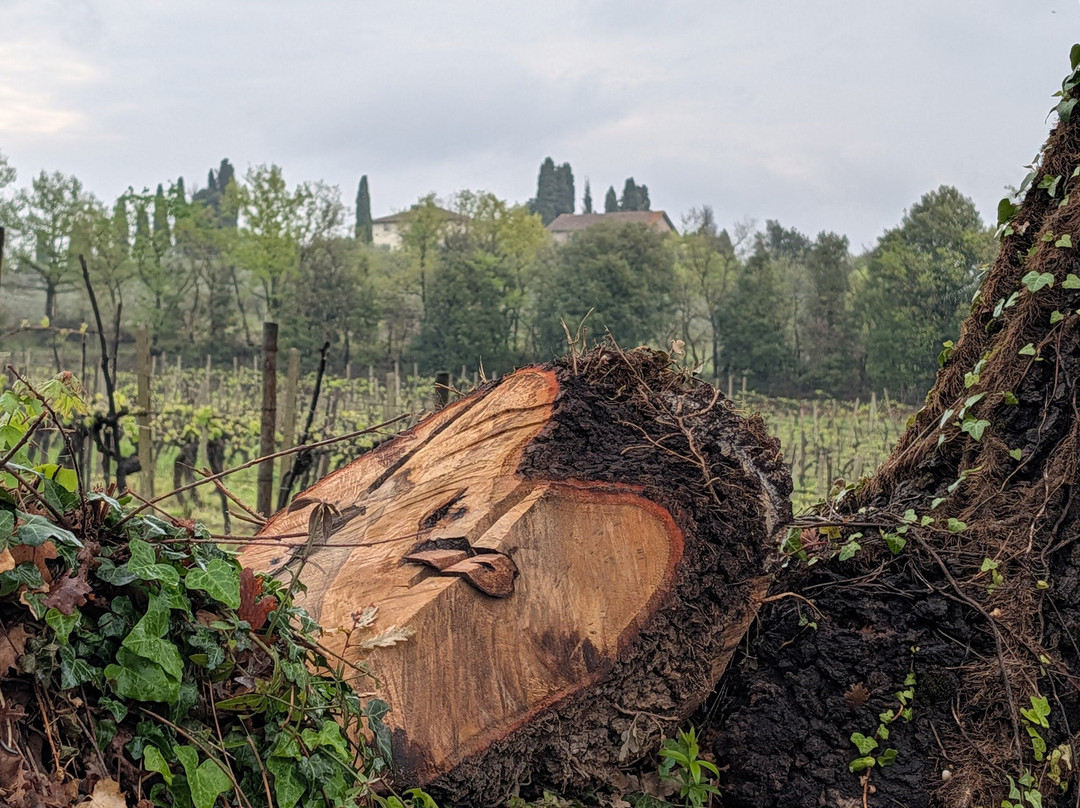 Casale Terzo-埃尔萨谷口村必去景点