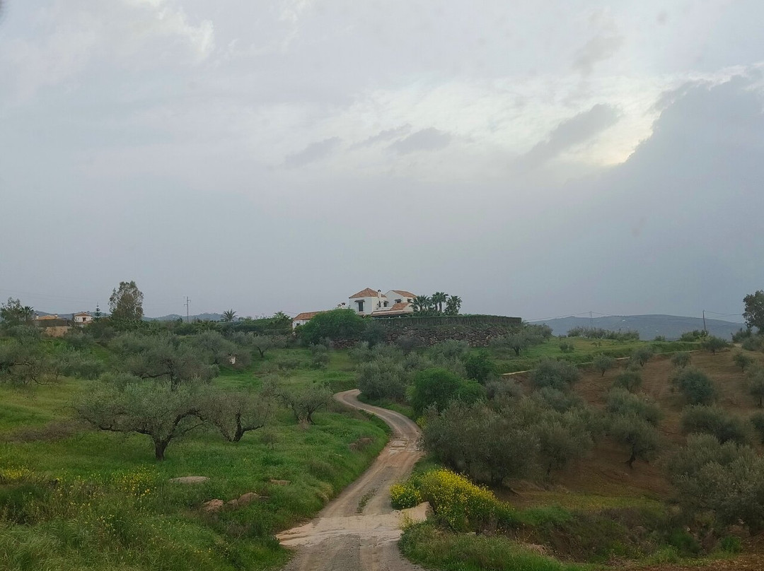 B&b Hacienda Riogordo主图