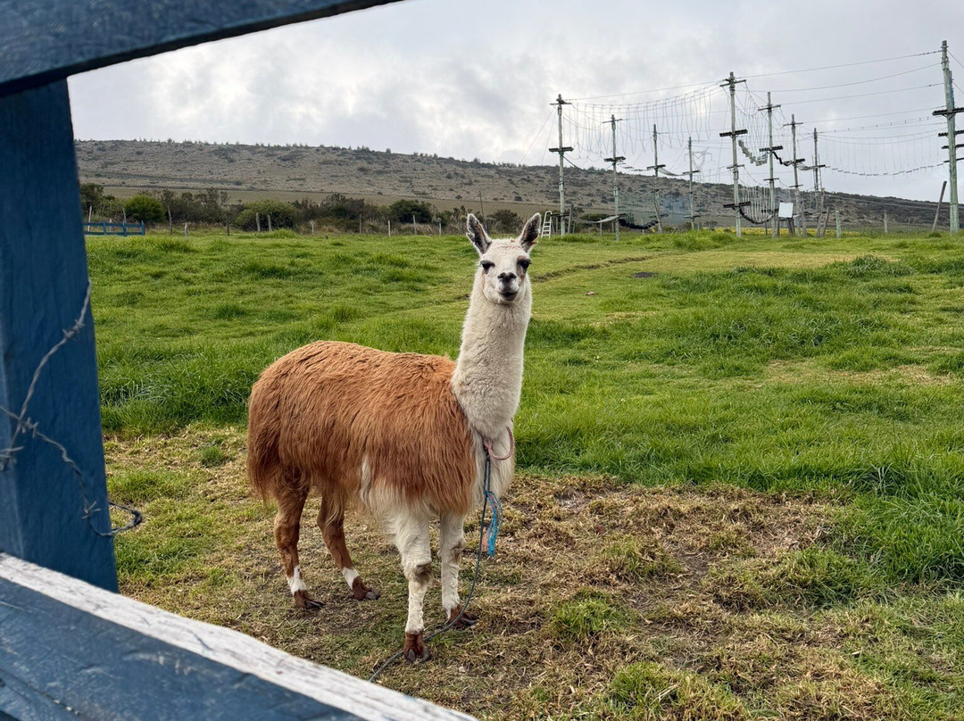 Hacienda El Porvenir by Tierra del Volcan主图