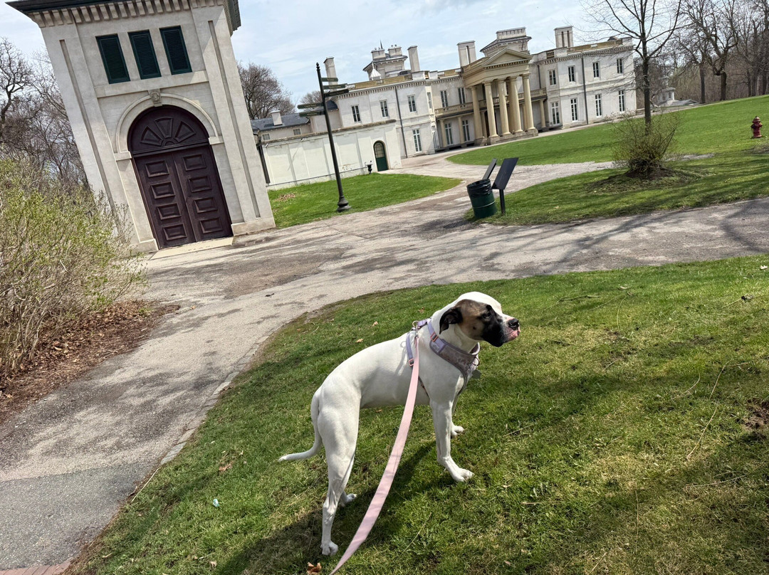 Dundurn Castle-汉密尔顿必去景点