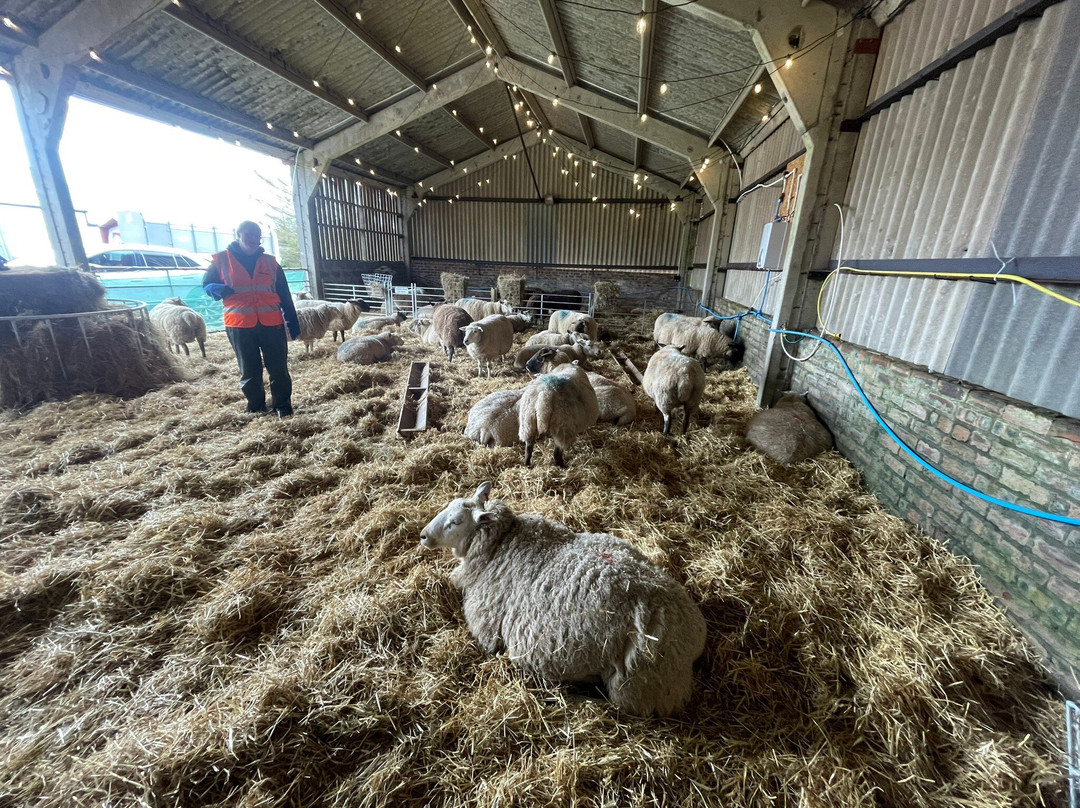 Craigbank Farm-Kilmarnock必去景点