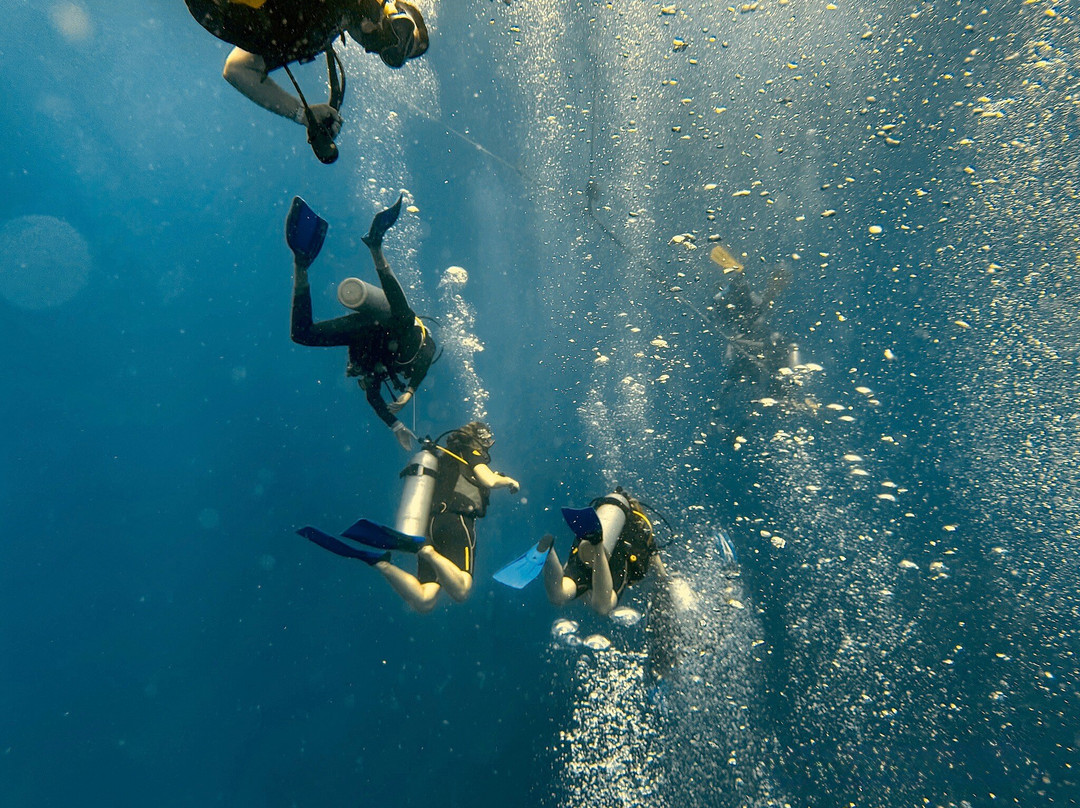 Sea Bees Diving Khao Lak - Day Tours-拉克山必去景点