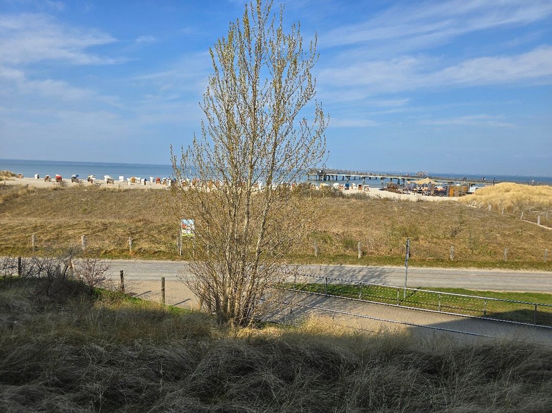 海利根哈芬海滩汽车旅馆主图