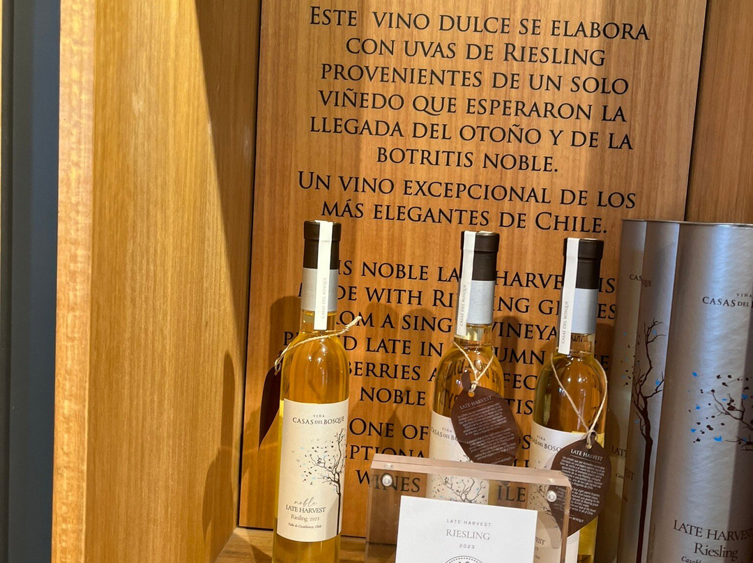 Viña Casas del Bosque-卡萨布兰卡必去景点