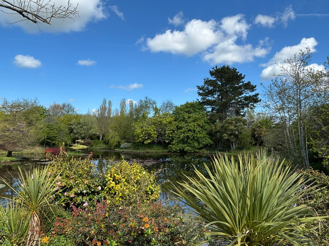 Bennetts Water Gardens-Chickerell必去景点