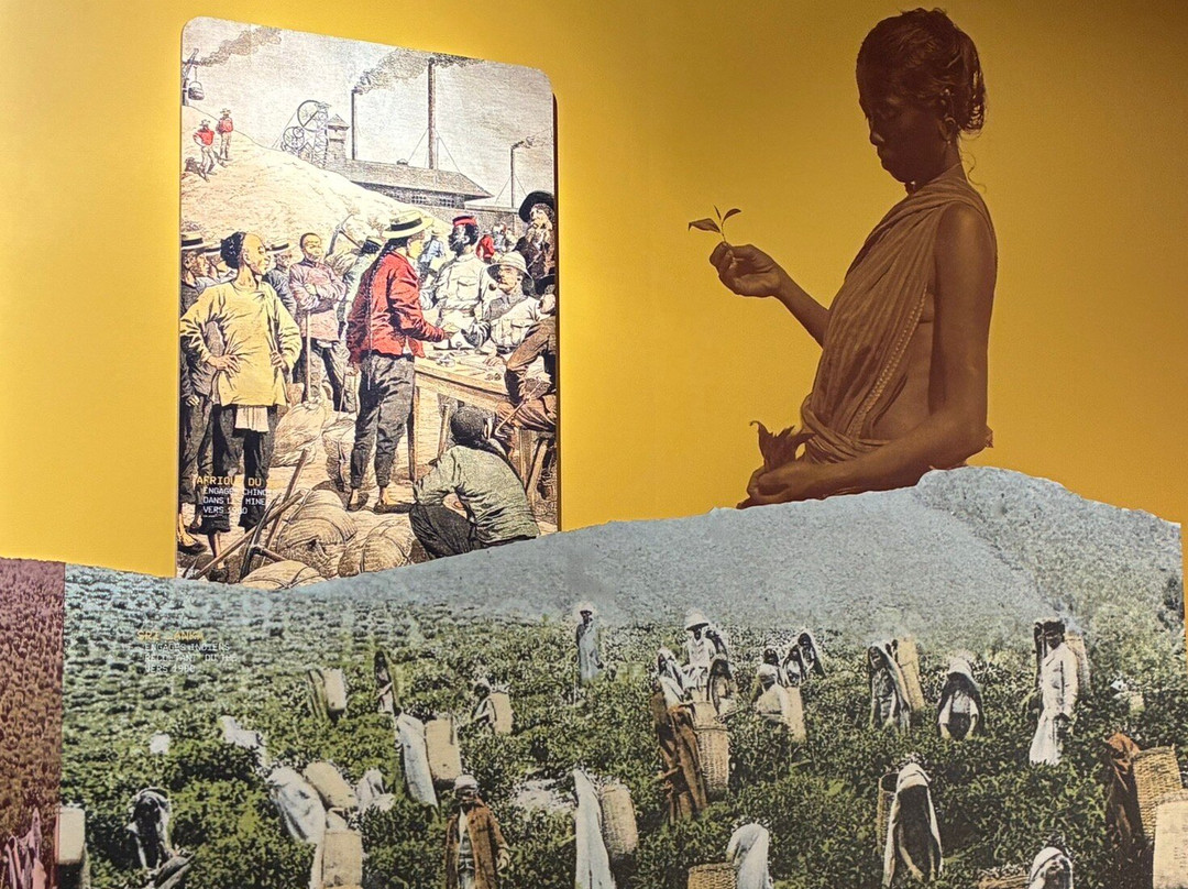 Musée Stella Matutina-圣亮必去景点