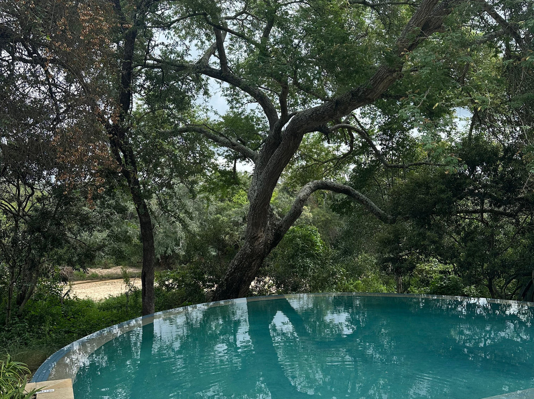 小非洲游猎小屋主图