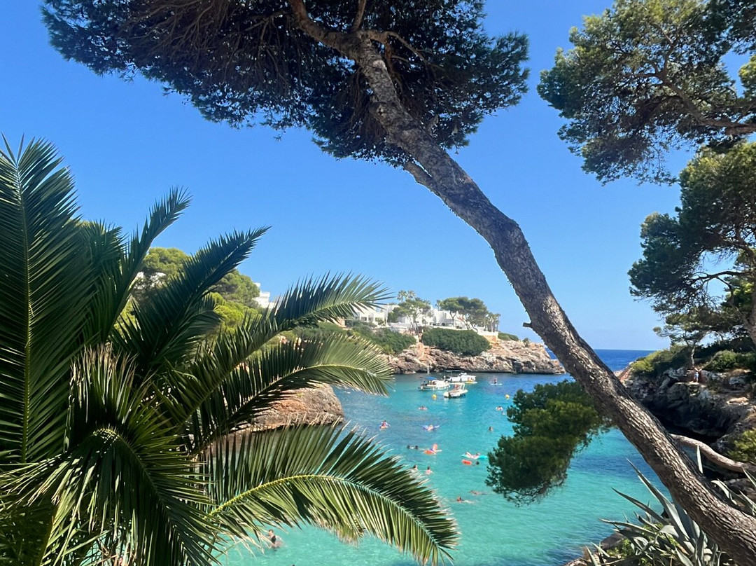 AluaSoul Mallorca Resort - Adults Only主图
