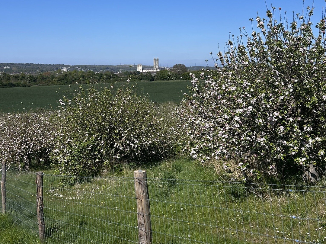 Canterbury Cathedral Panoramic Viewpoint-坎特伯雷必去景点