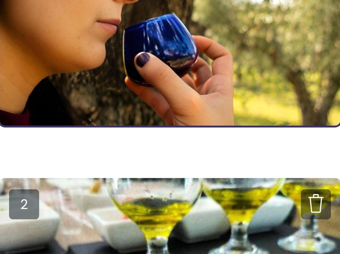 Vagio Agrofarms – Olive Oil Tasting Experience