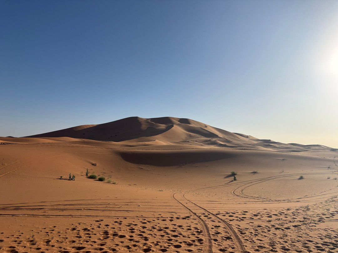 Desert Maroc Tours - Day Tours-扎古拉必去景点