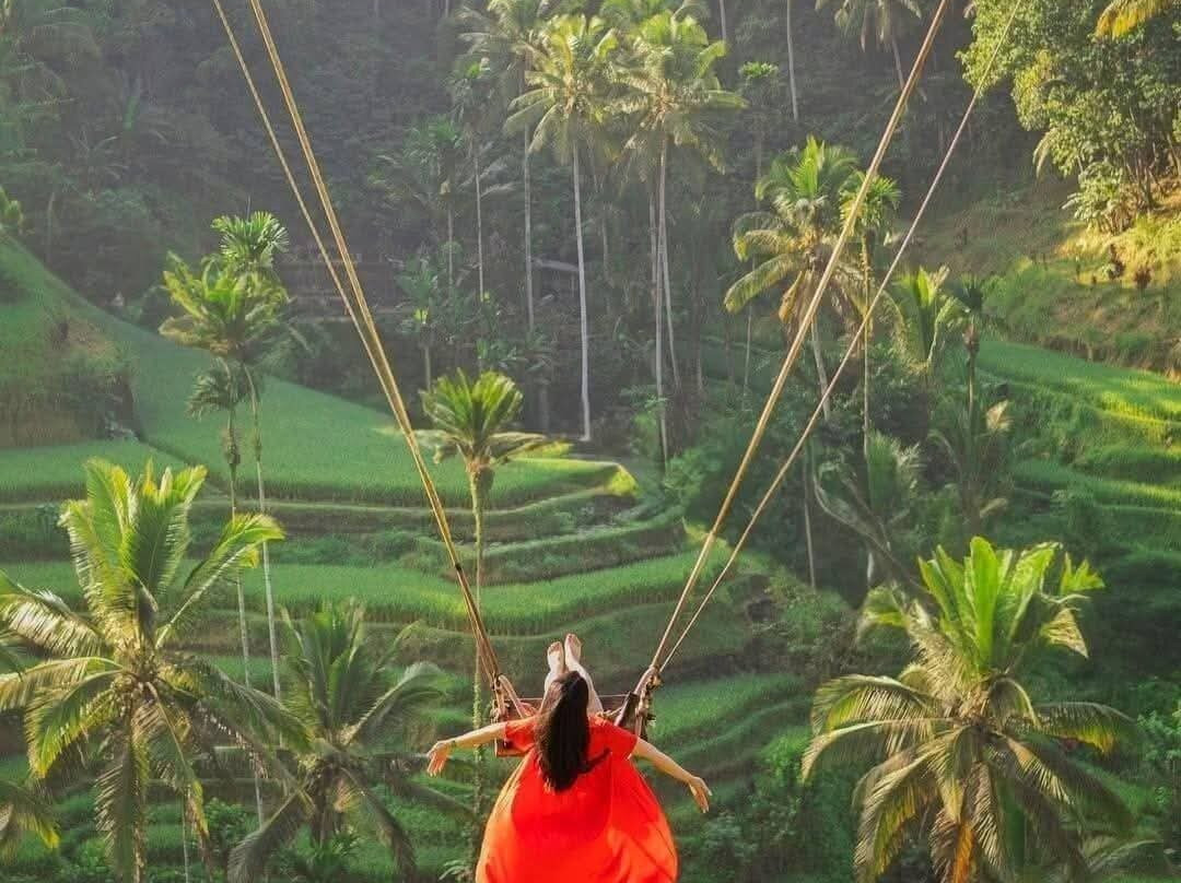 Ubud Quad Bike Adventure-乌布必去景点