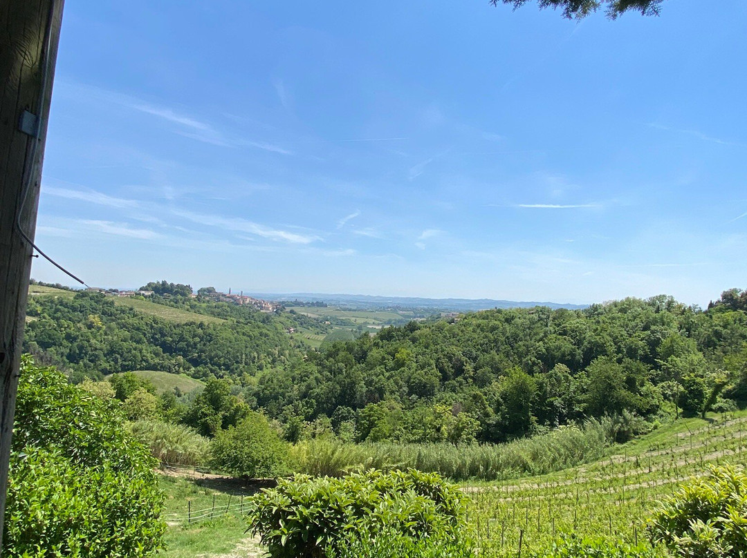 Agriturismo Cascina Imarisia-Ozzano Monferrato必去景点