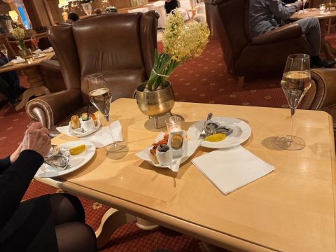 高山宫殿奢华藏身处 SPA 度假酒店-旅行者