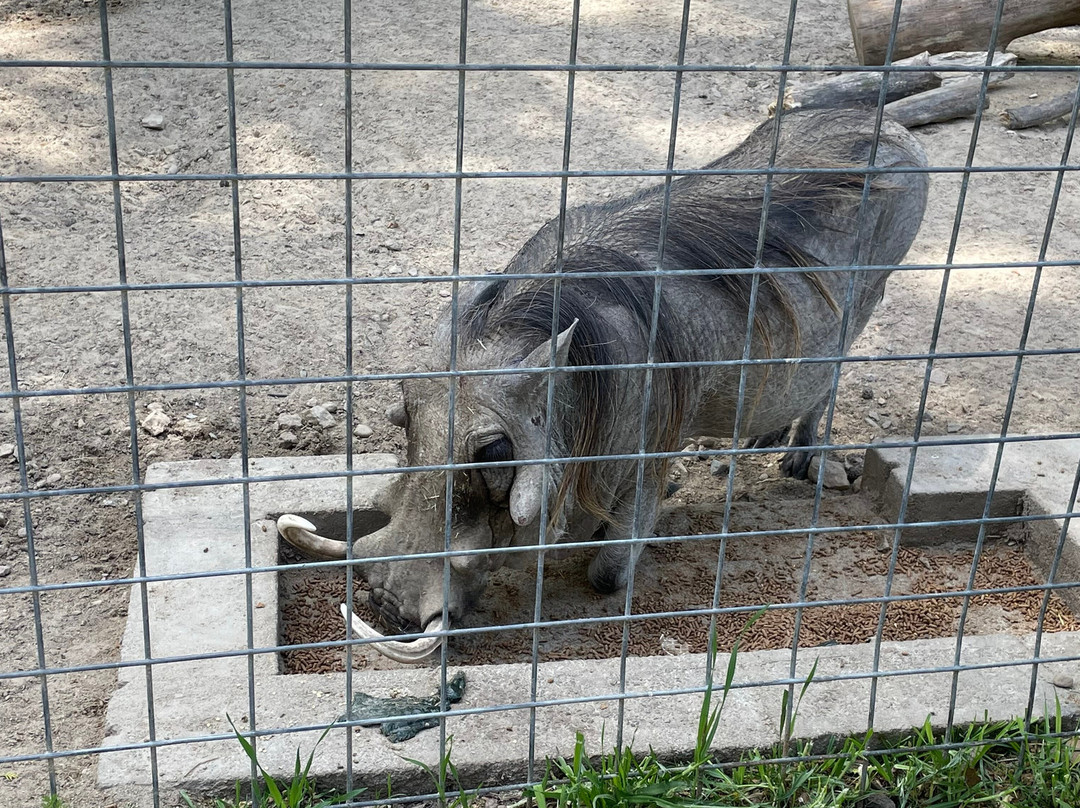 Broadway Zoological Park-Broadway必去景点