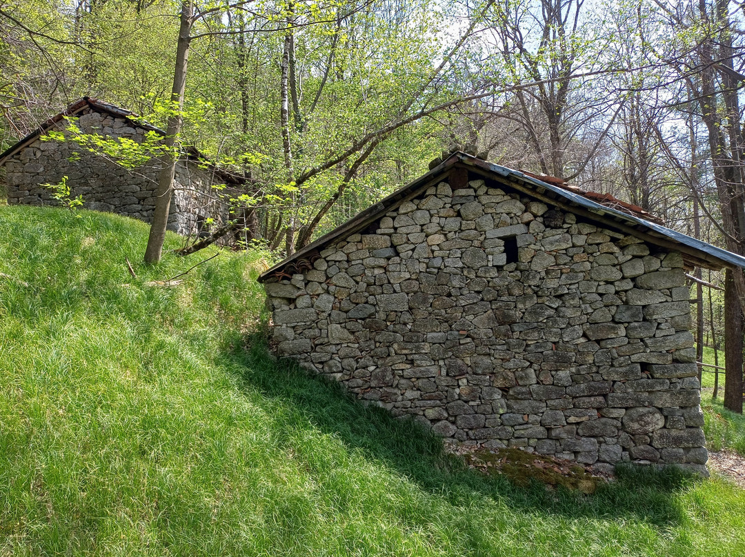 The Alta Valle del Cervo-Campiglia Cervo必去景点