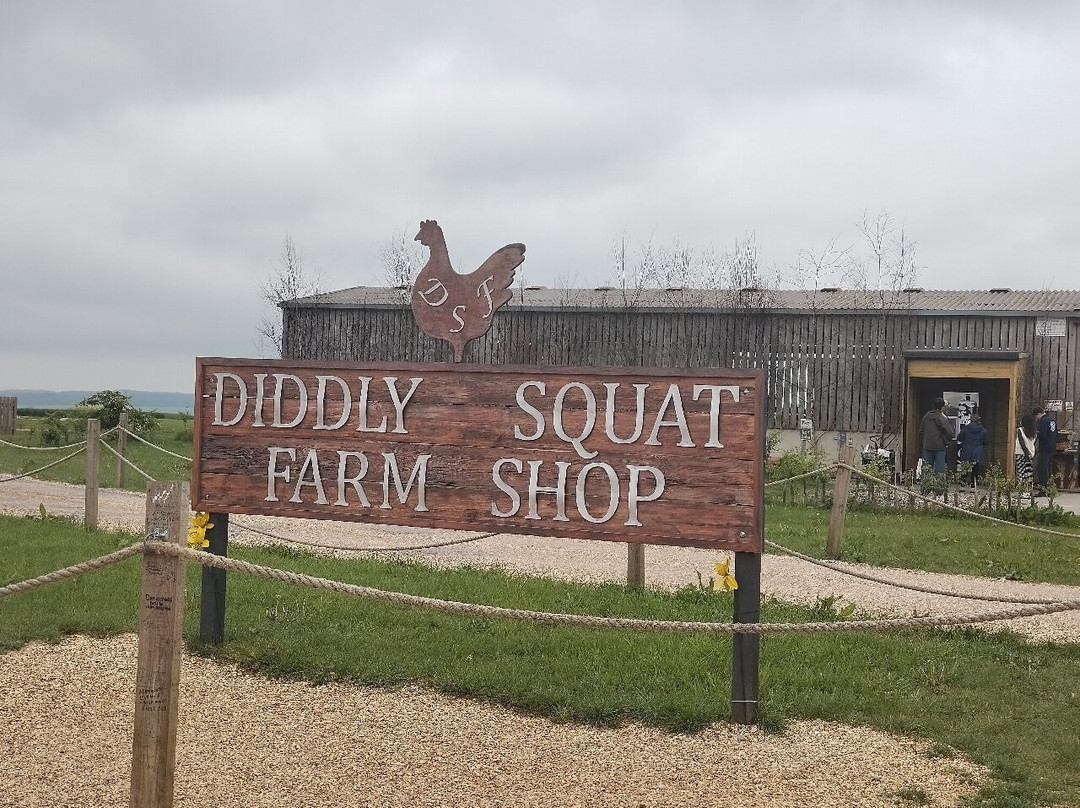 Diddly Squat Farm Shop-奇平诺顿必去景点