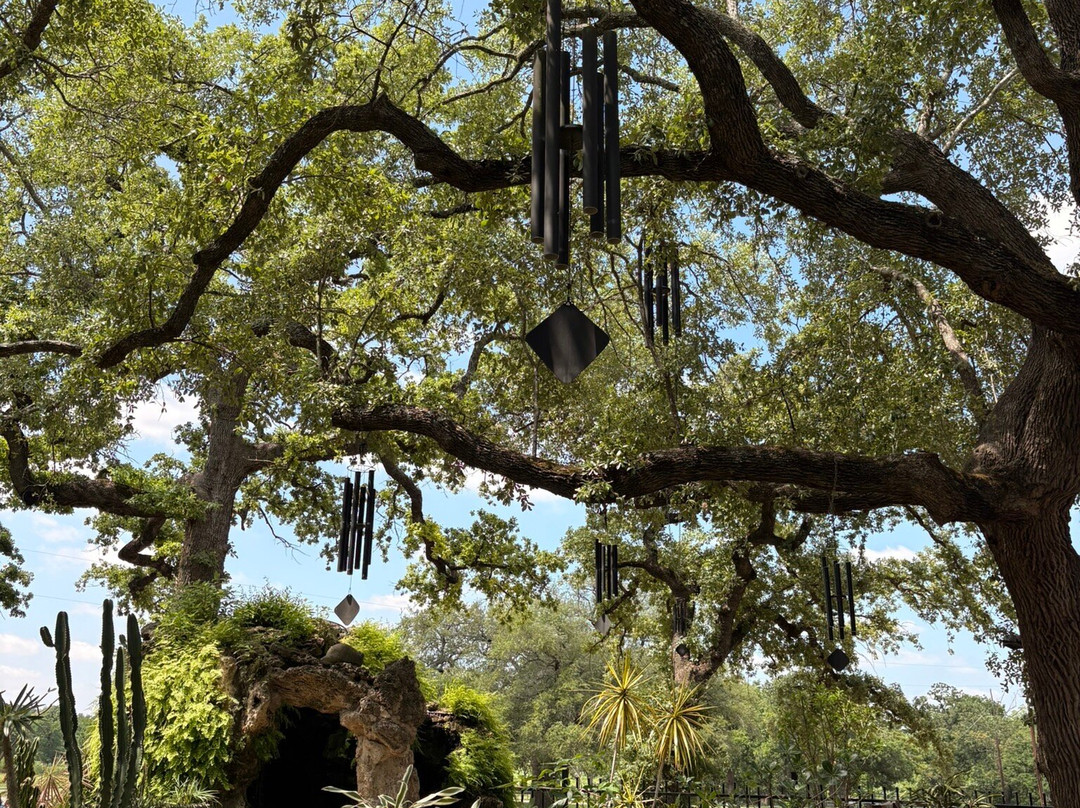 Krause Springs-Spicewood必去景点