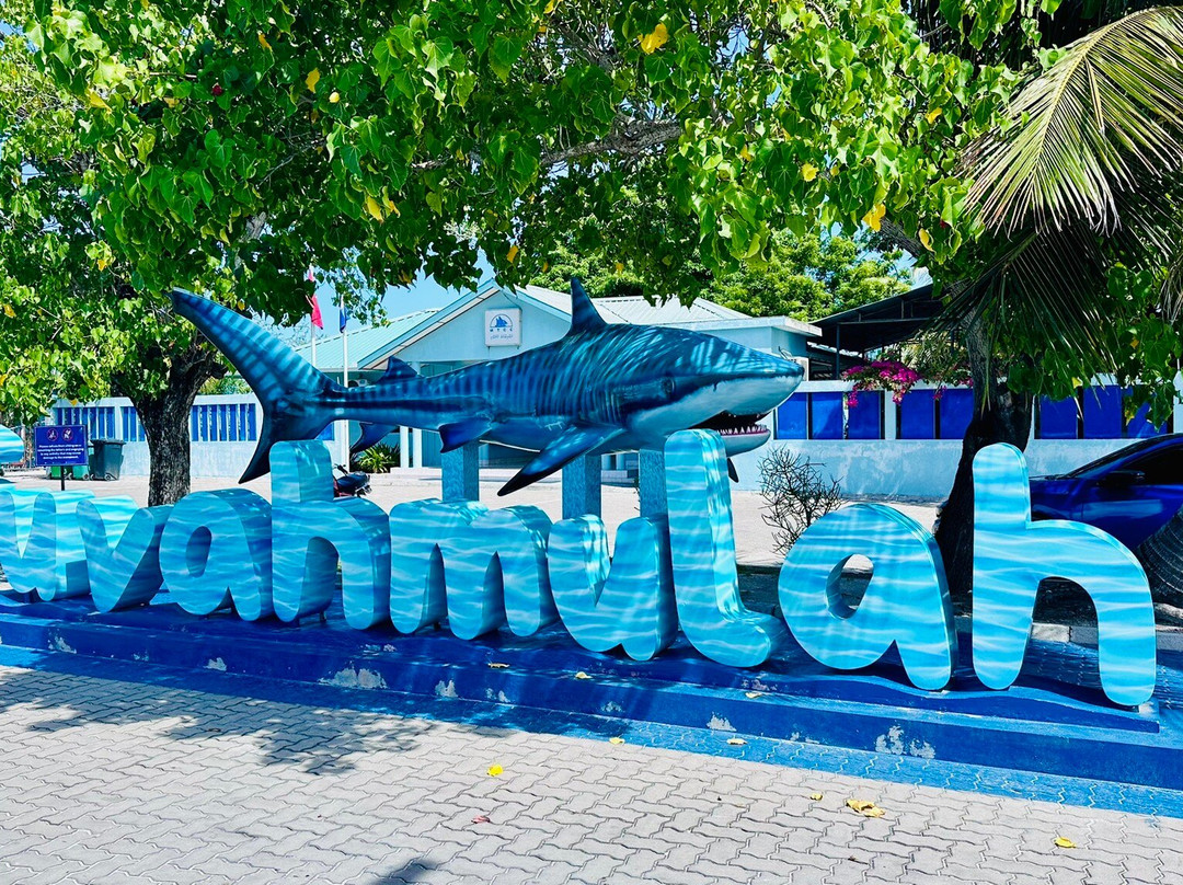 Pelagic Divers Fuvahmulah-Fuvahmulah必去景点