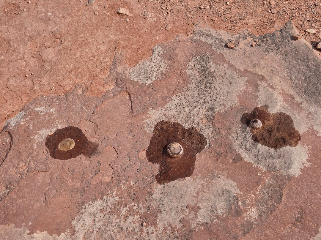 Dinosaur Tracks-蒂巴城必去景点