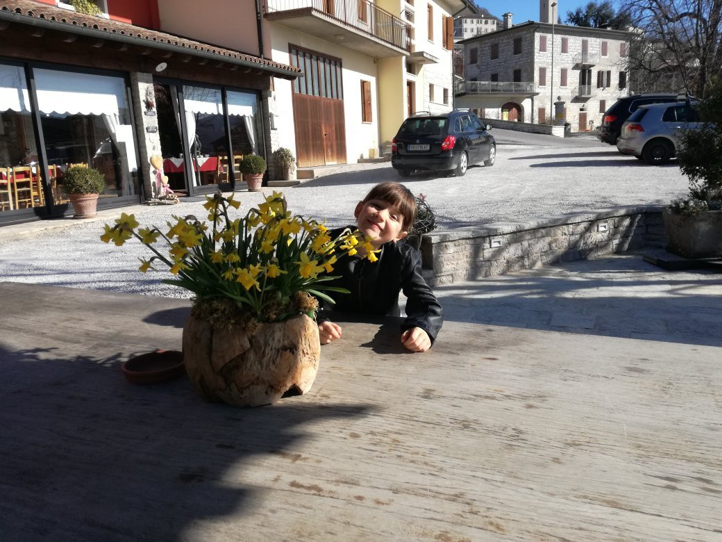 Agriturismo Vigneto Vecio主图