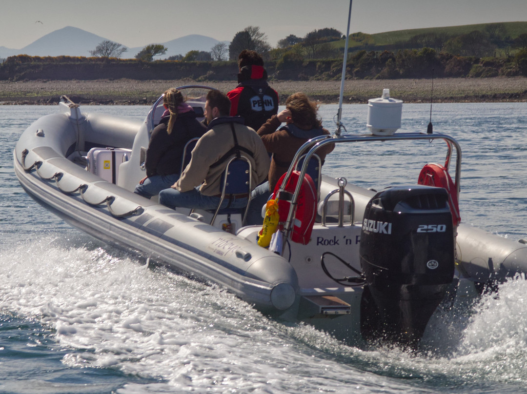 Strangford Boat Excursions-Strangford必去景点