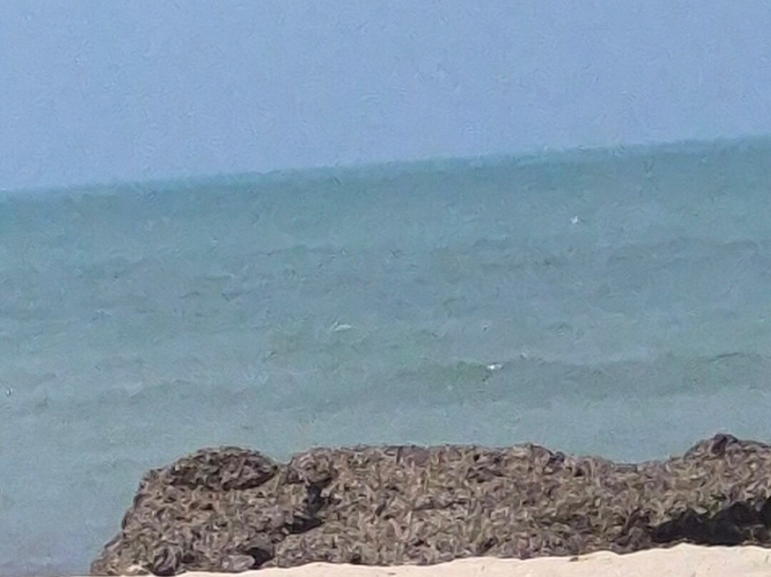 Seabel Rym Beach Djerba主图