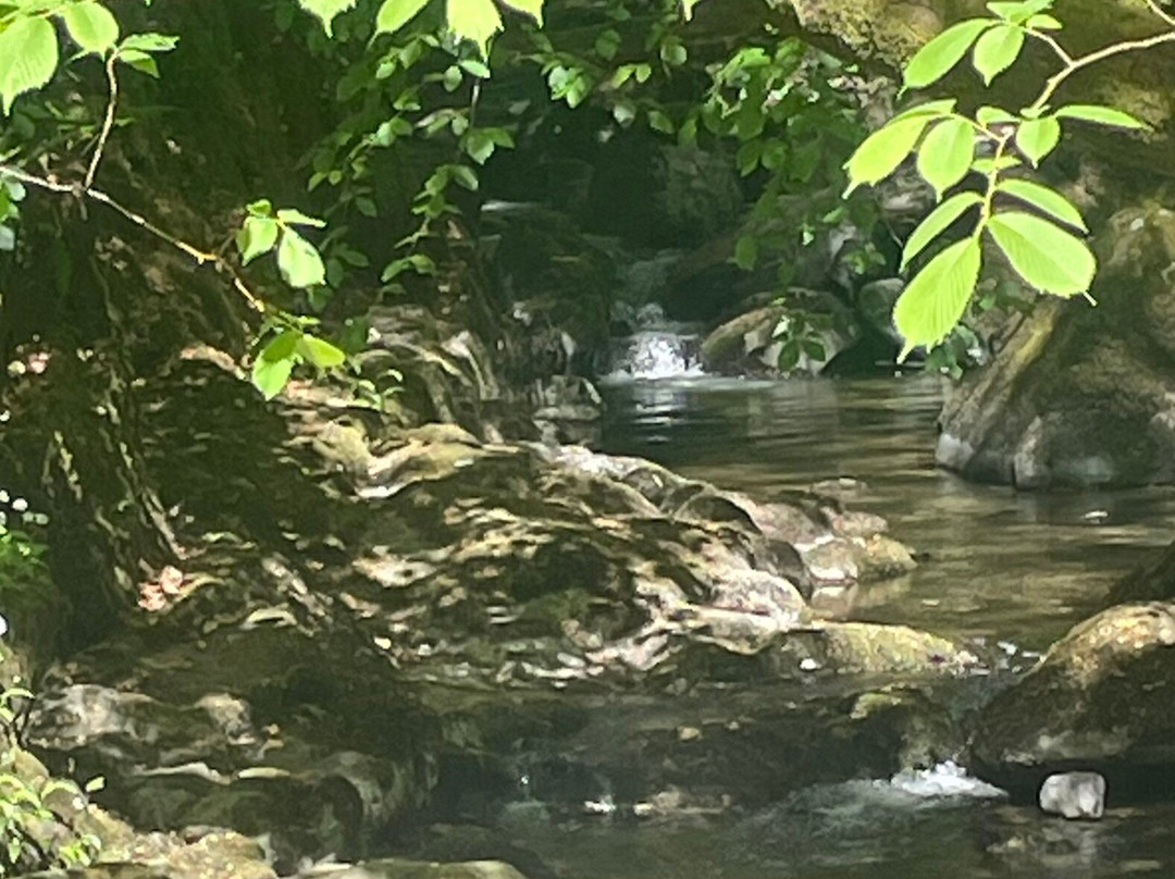 Stock Ghyll Force-安布赛德必去景点