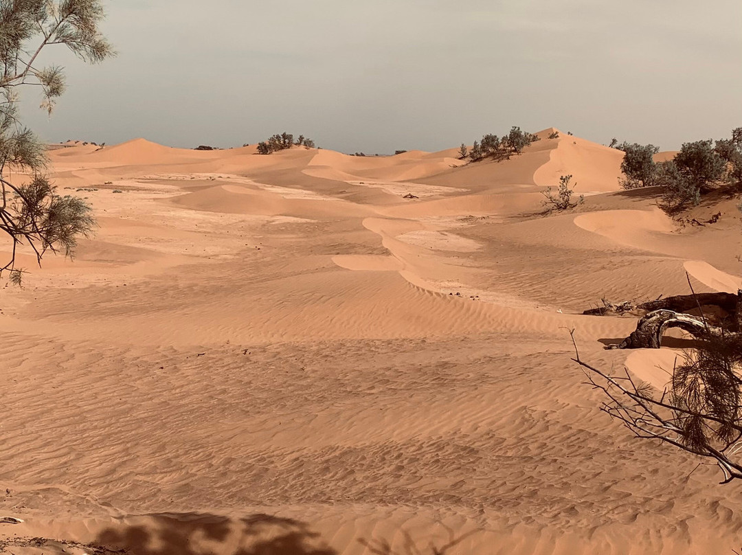 Loud Sahara Day Tours-扎古拉必去景点