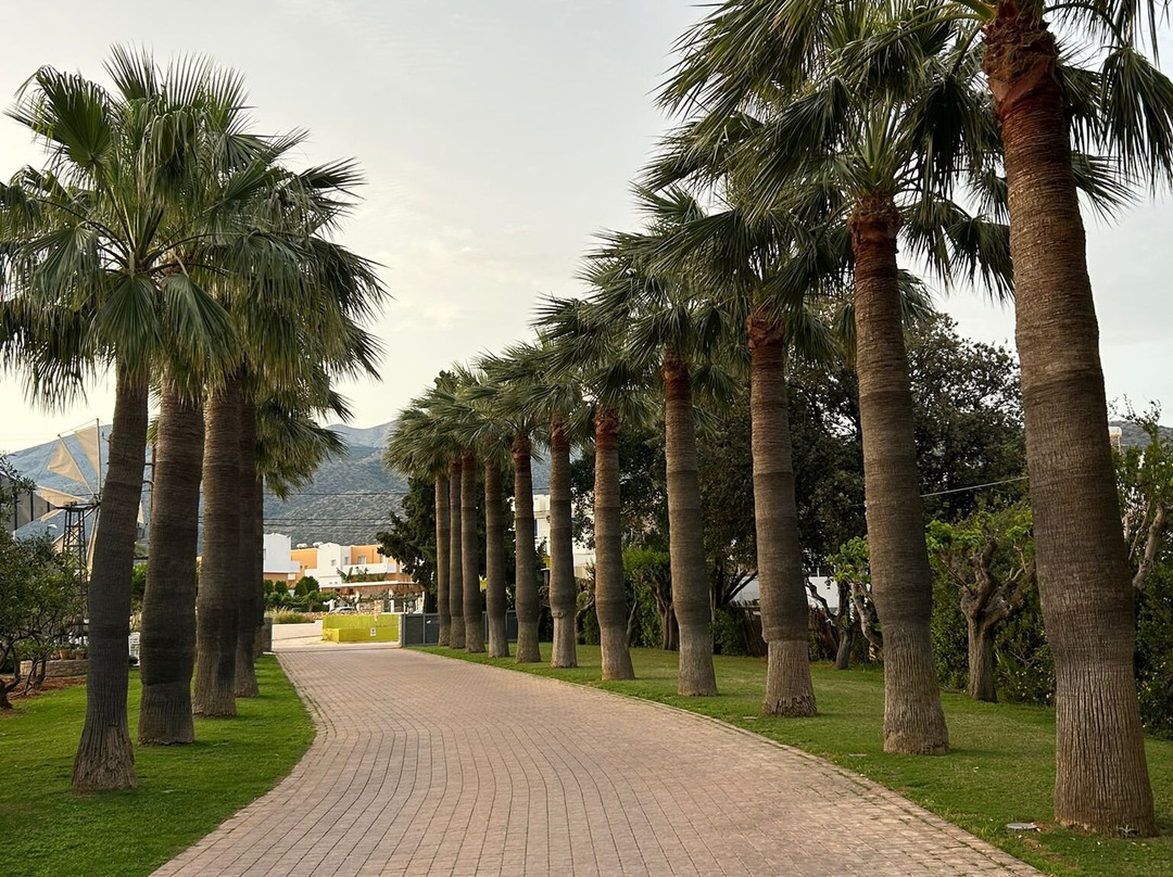 Kalimera Beach-Sissi必去景点