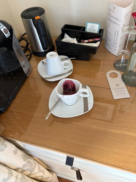 巴蒂康士坦茨酒店-旅行者