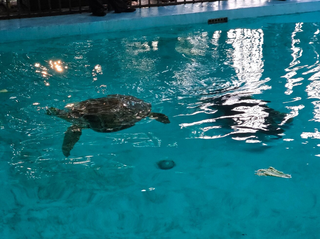 Marine Environmental Education Center-好莱坞必去景点