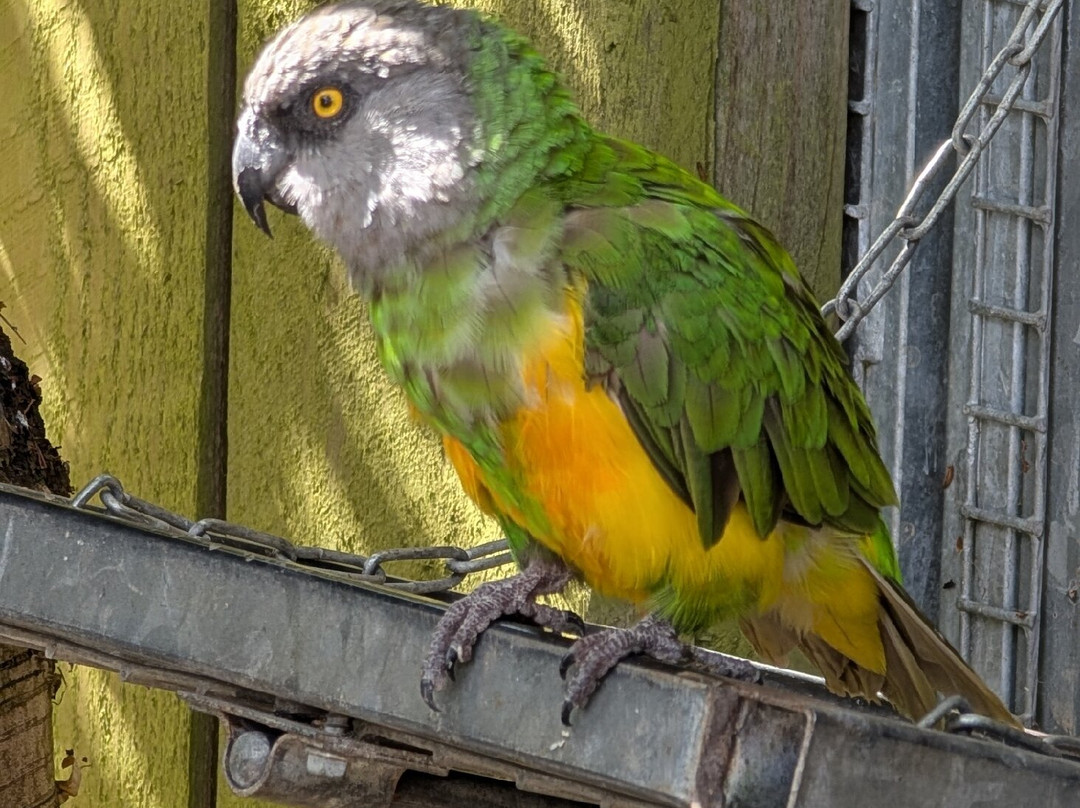 Lincolnshire Wildlife Park-Friskney必去景点
