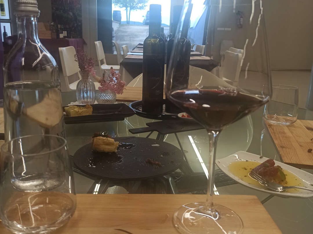 Capua Winery-Saturnia必去景点