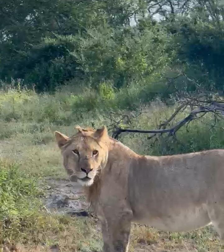 Northern Masailand Safaris-阿鲁沙必去景点