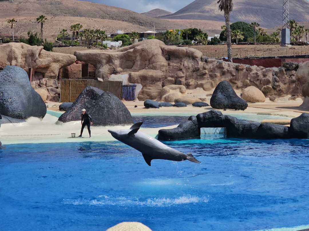 Rancho Texas Lanzarote Park-卡门港必去景点