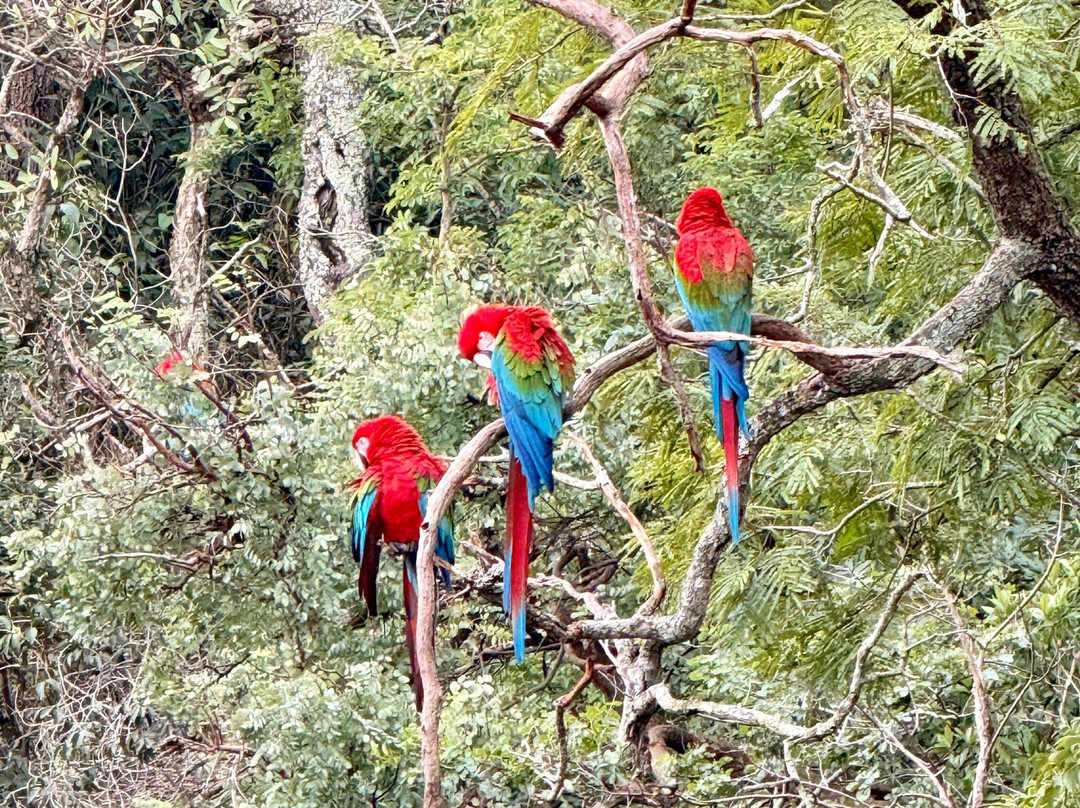 Buraco das Araras Ecoturismo-雅尔丁必去景点