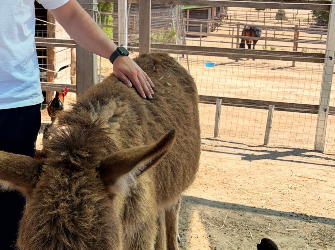 Centro Equestre Mirmex Asd-Quartucciu必去景点
