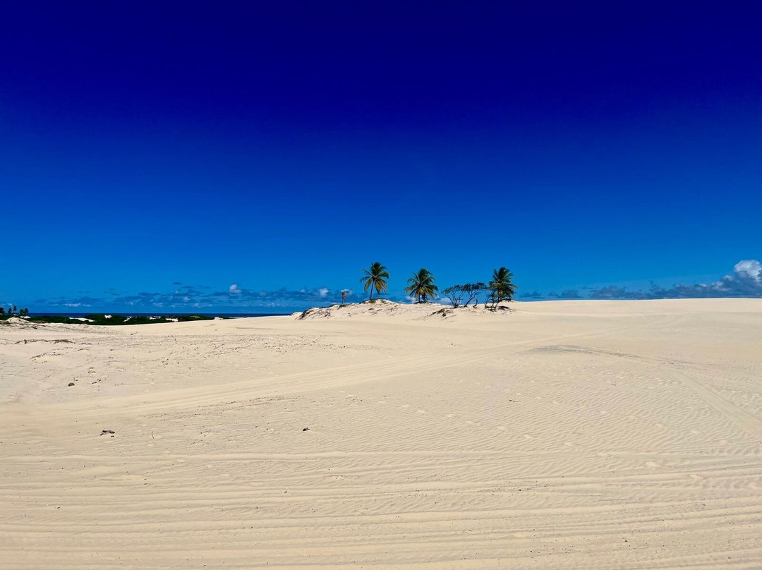 Praia de Mangue Seco-Mangue Seco必去景点