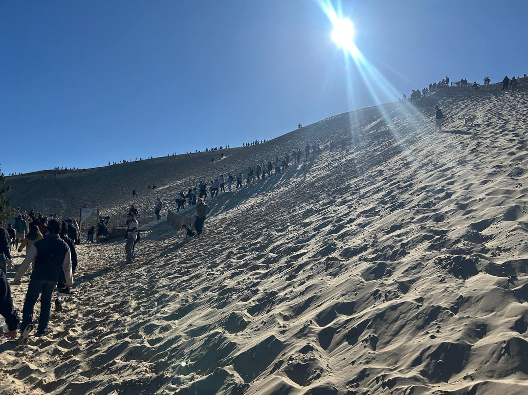 Great Dune of Pilat-拉泰斯特德比克必去景点