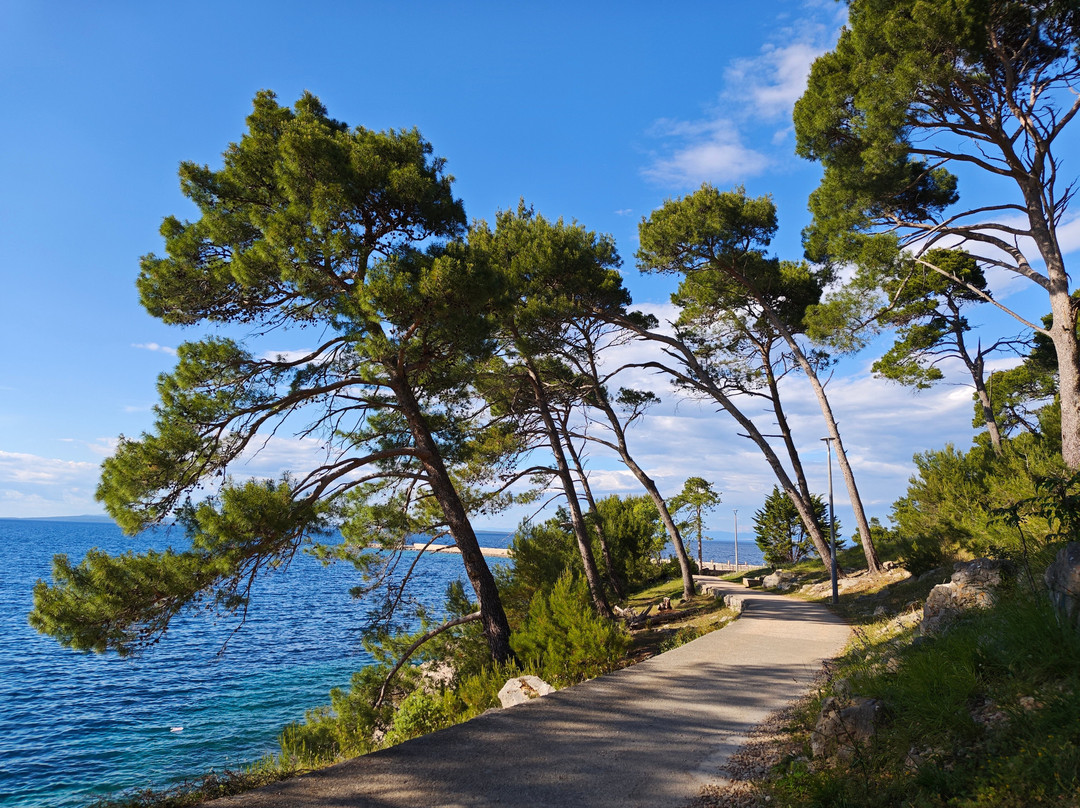 Port Rovenska-Lošinj Island必去景点