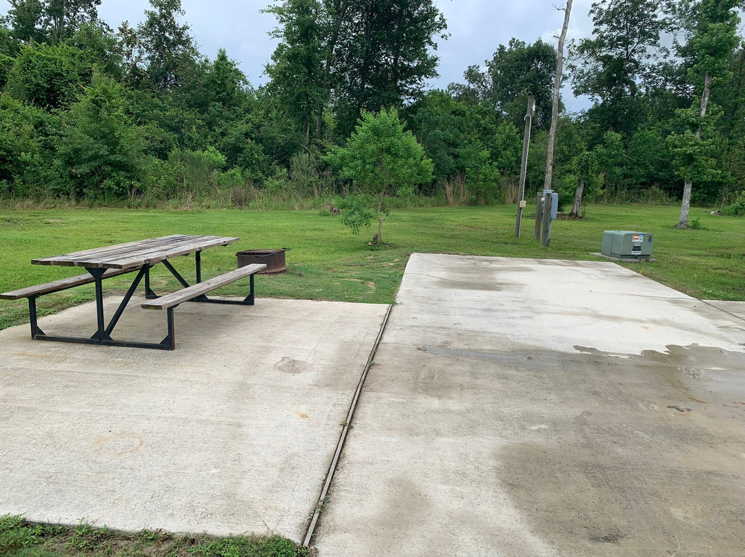Sam Houston Jones State Park-莱克查尔斯必去景点