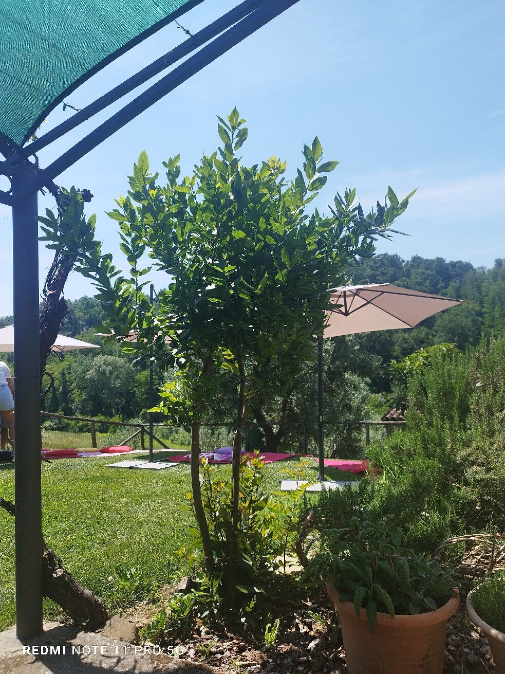 Agriturismo Casa Garello-旅行者